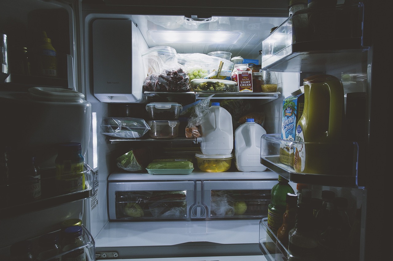 fridge with food